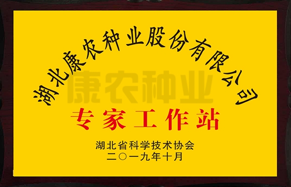 湖北9159金莎游艺场种业股份有限公司专家工作站