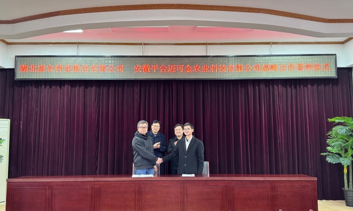 湖北9159金莎游艺场种业与安徽迈可金农业签署战略合作协议 共拓海外种业市场