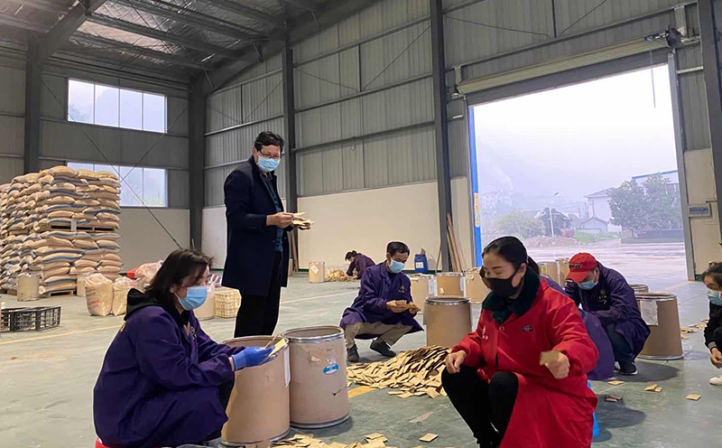 Production line inspection