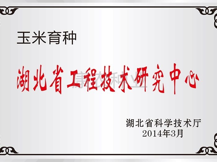 Hubei Engineering Technology Research Center