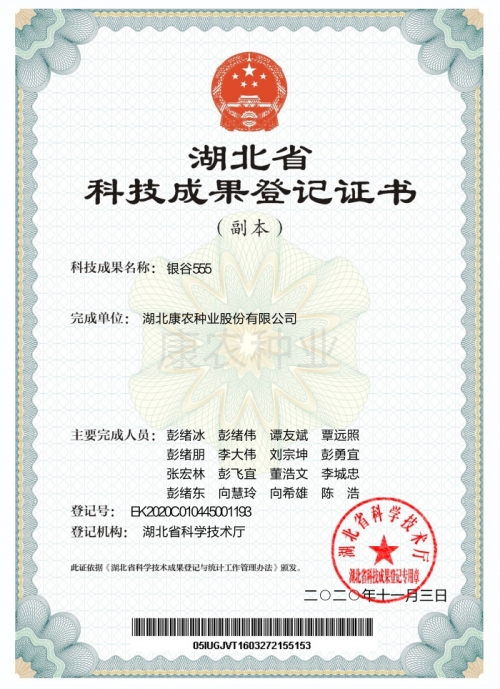 Silver Valley 555[Registration Certificate]