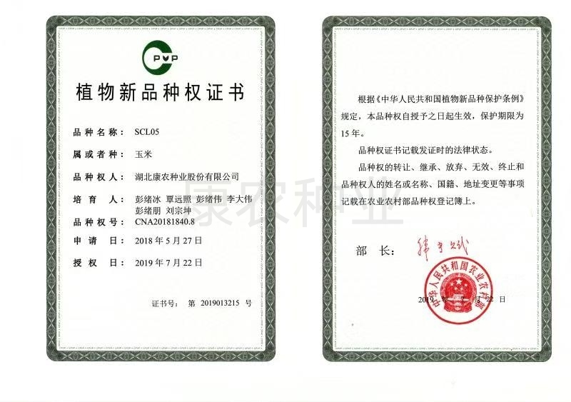 SCL05 Plant New Variety Right Certificate